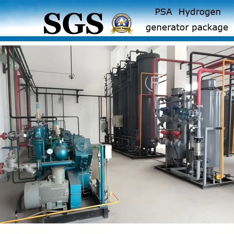 1 KW PSA Hydrogen Generator with 99.99% Purity for Stainless Steel Industry Applications