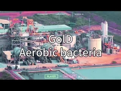 VSA VPSA OXYGEN GENERATOR 